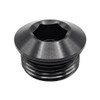 QM -10 AN ORB Port Plug, Hex Socket, Aluminum, Black (QM-630052)