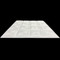 R40 Aerial Village Styrofoam Glue Up Ceiling Tile 20"x20"