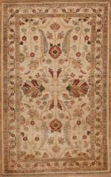 Traditional Light background 3' x 4'10 area rug 