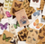 Decorative paper collage Mini Booklet │Butterfly