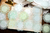 Decorative Lace Paper Doilies│Celadon Dreams (20 pcs)