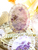 Delicate Lace Paper Doilies│ Purple Hues