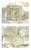 Delicate Lace Paper Doilies│Enchanted Meadow