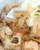 Delicate Lace Paper Doilies│Vintage Melody