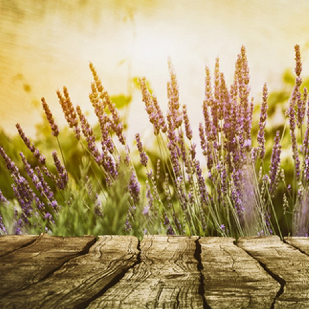 Cedar Leaf & Lavender (Type) Fragrance Oil - The Flaming Candle Company