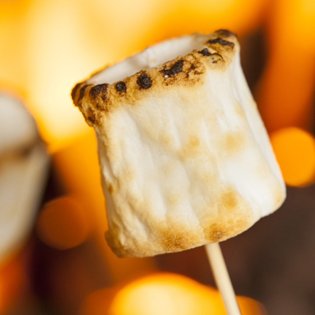 https://cdn11.bigcommerce.com/s-0544a/images/stencil/1080x1080/products/322/578/Fire_Roasted_Marshmallows__55550.1653670044.jpg?c=2