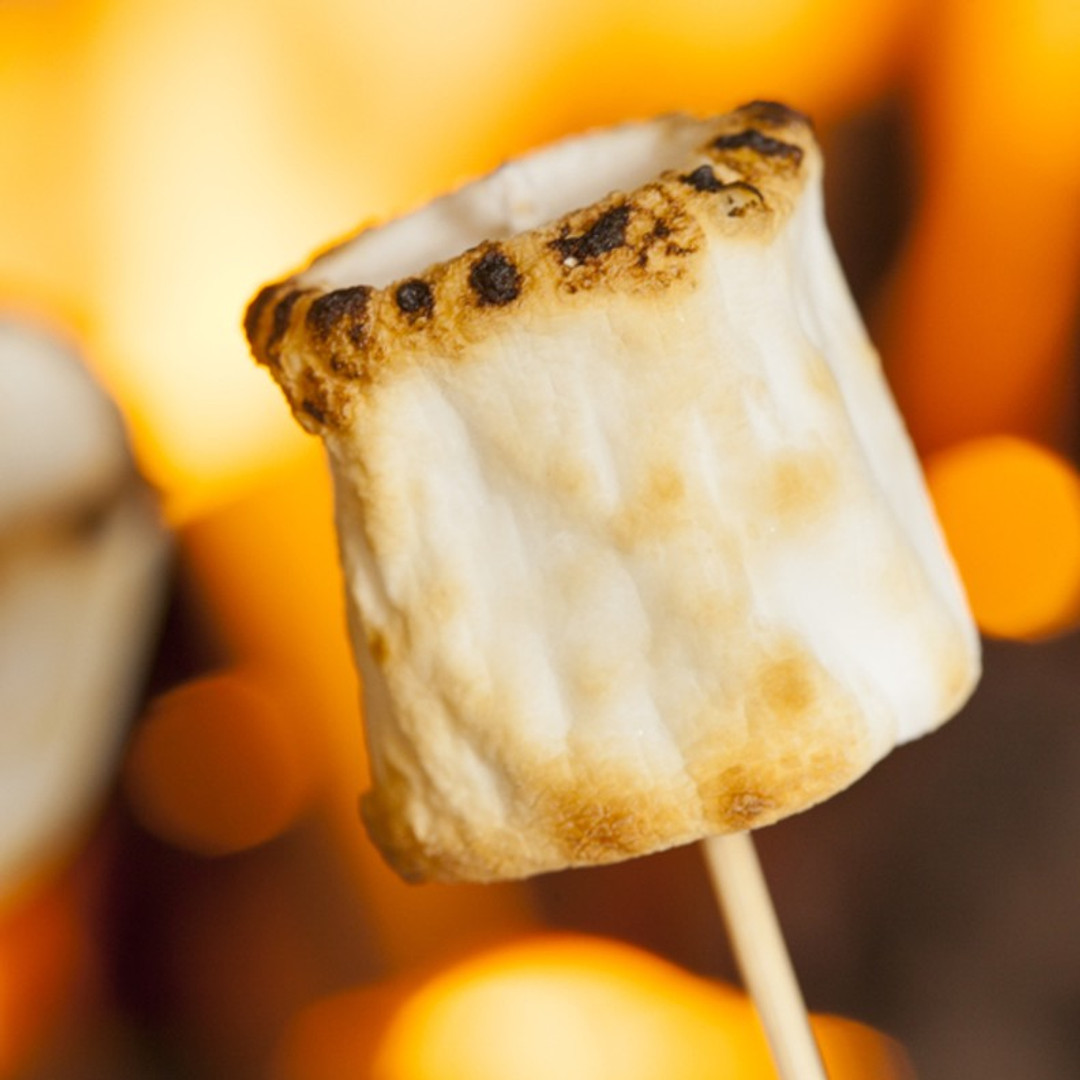 marshmallow fire roaster