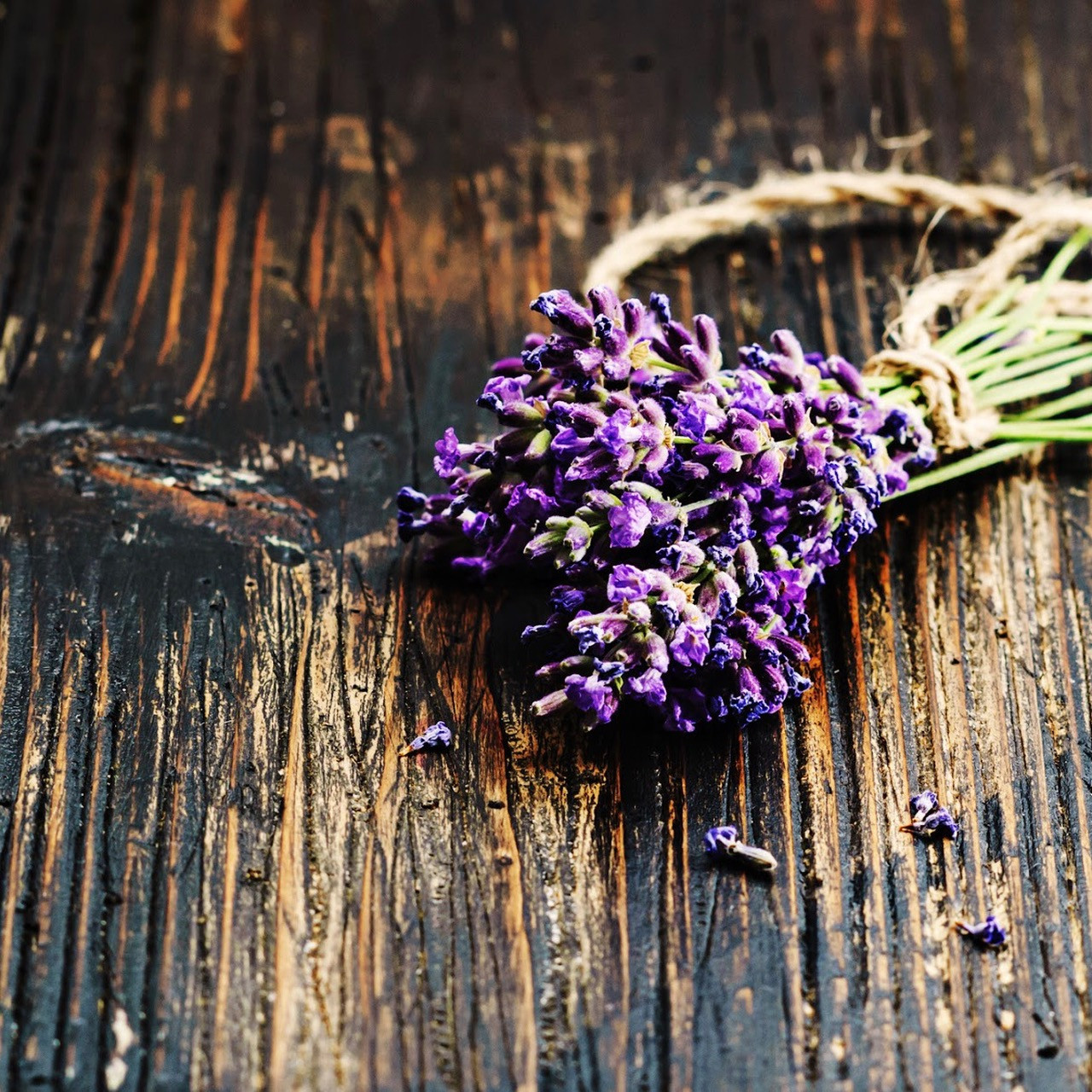 Fragrance Oil For Candles The Flaming Candle Company