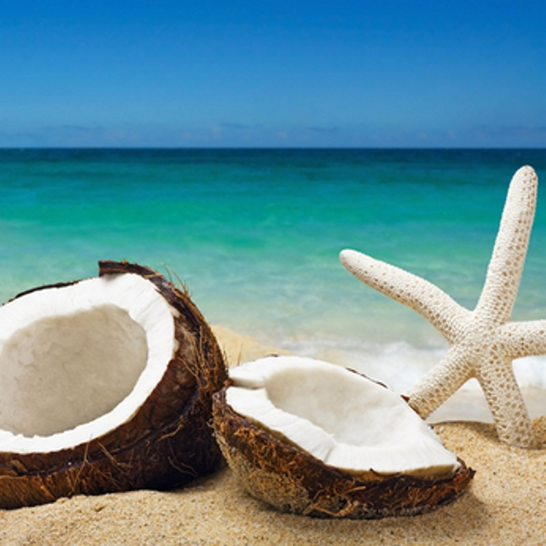 Mahogany Coconut (Type) Fragrance Oil