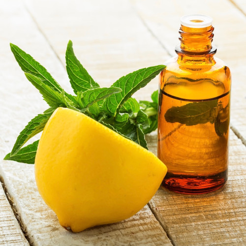 Lemon Mint Leaf (Type) Fragrance Oil | The Flaming Candle