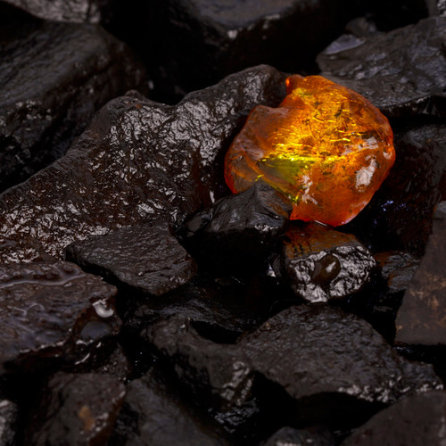 Fragrance Oils New Fragrance Oils The Flaming Candle Company