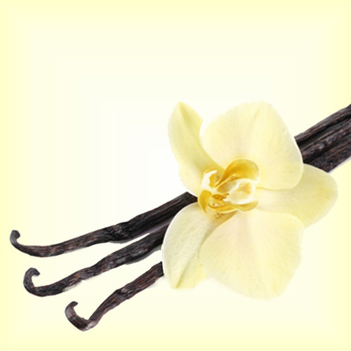 Smoked Vanilla (Type) Fragrance Oil The Flaming Candle Company