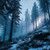 Twilight Pine Fragrance Oil | The Flaming Candle