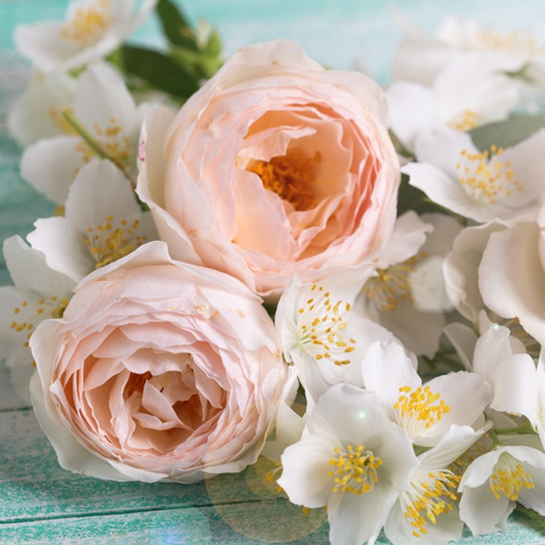 Honeysuckle Jasmine Fragrance Oil The Flaming Candle Company