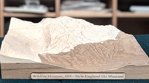 Wildcat Mountain | 3D topographic ski trail map