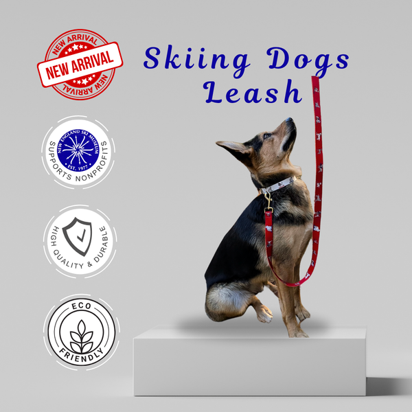 Eco-Friendly Dog Leash - Recycled Polyester with Gold Hardware | Ski-Themed Pet Leash