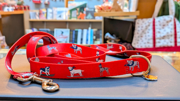 Eco-Friendly Dog Leash - Recycled Polyester with Gold Hardware | Ski-Themed Pet Leash