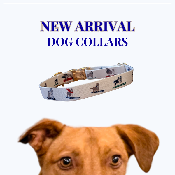 Eco-Friendly Dog Collar - Recycled Polyester with Gold Hardware | Adjustable Ski-Themed