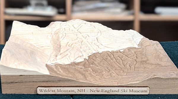 Wildcat Mountain | 3D topographic ski trail map