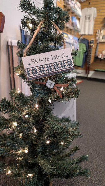 Ski-ya later! ornament