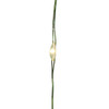 8' Battery Operated 25L Warm White Fairy LED Green Wire Light Set In PDQ