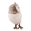 Gray and Brown Owl