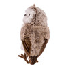 Gray and Brown Owl