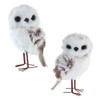 Light Brown Hanging Owl Ornaments, 2 Assorted