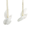 Friendship Dove Ornaments For Personalization, 2-Piece Box Set