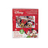 9' Battery Operated 20L Disney© Mickey and Minnie LED Fairy Light Set In PDQ