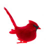 Tail Up Male Cardinal Clip-On Ornament
