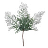 Snow Cedar Pick