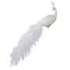 White Feather and Glitter Long Tail Phoenix