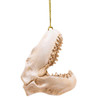 Shark Jaw Ornament