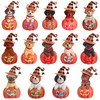 Battery Operated Dog On Pumpkin Table Piece, 14 Assorted