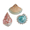 Seashell Ornaments, 3 Assorted