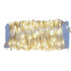 33' 100L Warm White LED Ribbon Light With Clear PVC Wire In PDQ