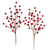 Red and Burgundy Berry Pick, 2 Assorted