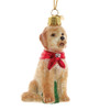 Noble Gems™ Goldendoodle Glass Ornament