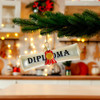 Noble Gems™ Diploma Glass Ornament