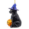 Noble Gems™ Glass Halloween Cat Ornament