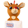 Rudolph The Red Nose Reindeer® Plush Head Stocking