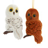 Flocked Owl With Loop Ornaments, 2 Assorted
