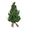22" Battery Operated Pre-Lit Decorated Champagne Wall Tree