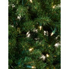 4' Pre-Lit Clear Incandescent Norway Pine Wall Tree