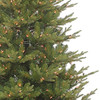 7.5' Pre-Lit Clear Incandescent Frasier Fir Tree