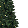 6' Pre-Lit Clear Incandescent Point Pine Tree