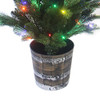 5' Pre-Lit Fiber Optic Multicolored LED Northern Light Potted Tree
