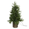 32" Pre-Lit Fiber-Optic Warm White LED Northern Light Potted Tree