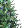 7' Pre-Lit Multicolor LED Jackson Pine Tree